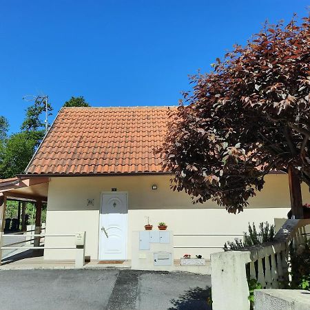 Apartament Casas Do Caminho Velho Ribeira de Pena Zewnętrze zdjęcie