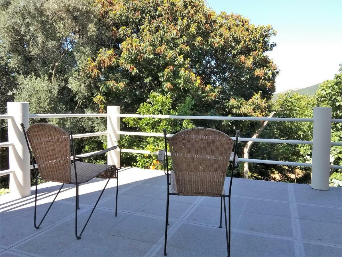Apartament Casas Do Caminho Velho Ribeira de Pena Zewnętrze zdjęcie