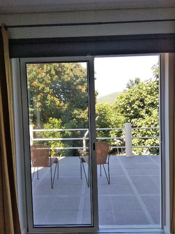 Apartament Casas Do Caminho Velho Ribeira de Pena Zewnętrze zdjęcie